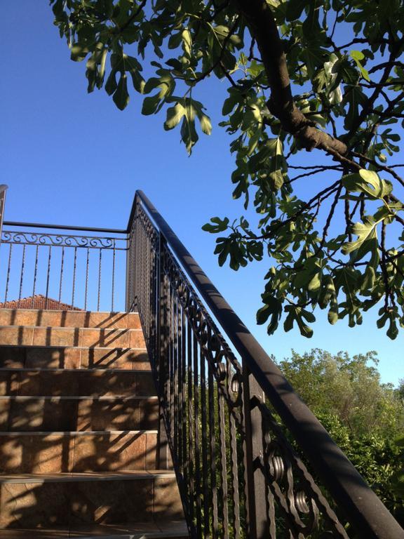 Apartmani Tivat Kaludjerovic Cameră foto
